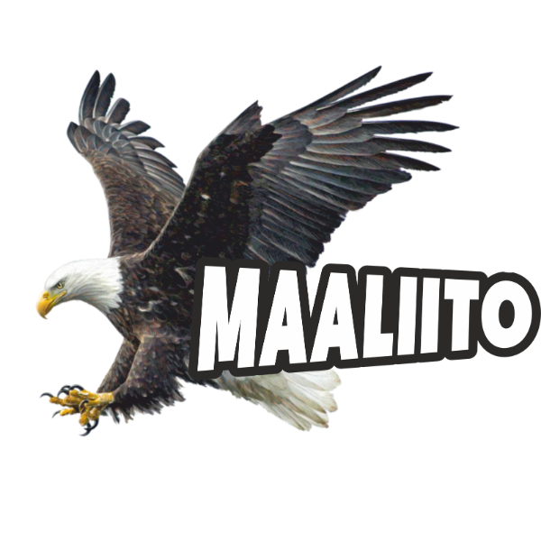 Maa Liito Oy yrityksen logo